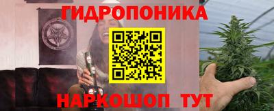 стафф Северобайкальск